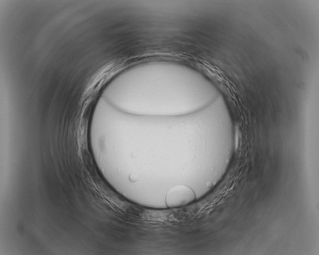 X0000113590339200909181052