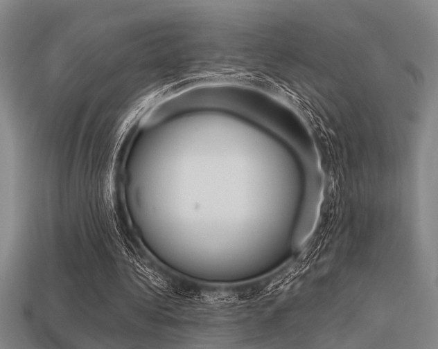 X0000113590340200909181052
