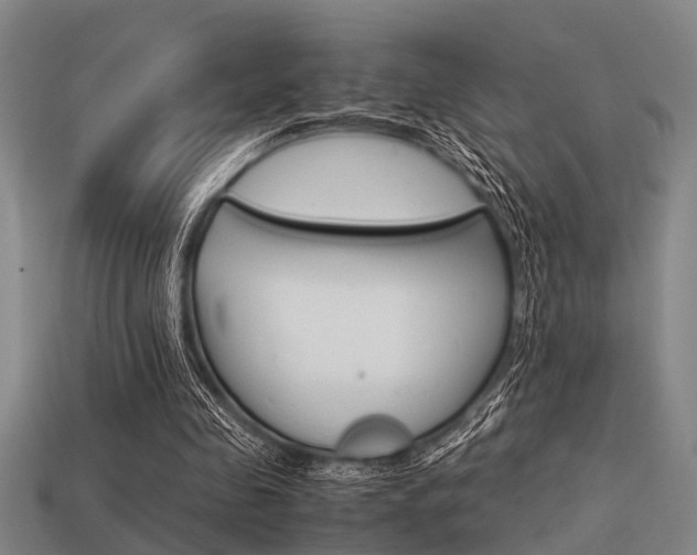 X0000113590341200909181052