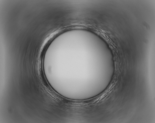 X0000113590342200909181052