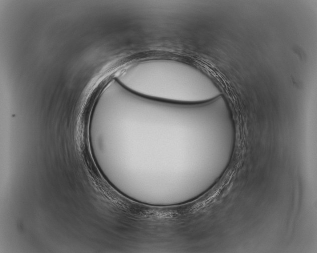 X0000113590343200909181052
