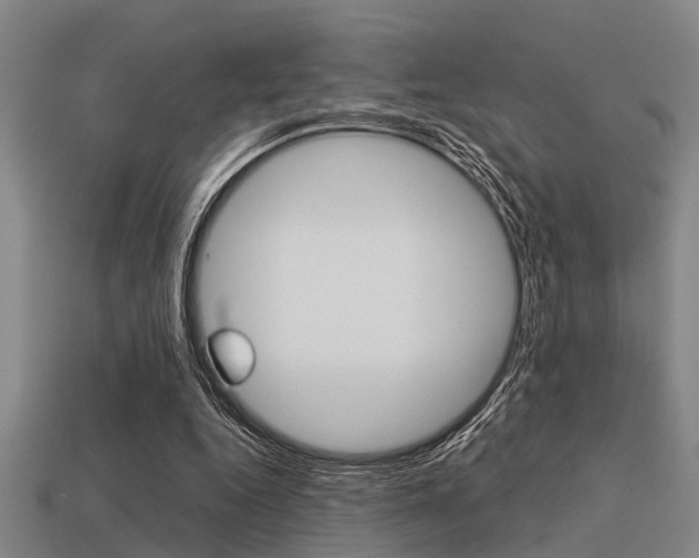 X0000113590344200909181052