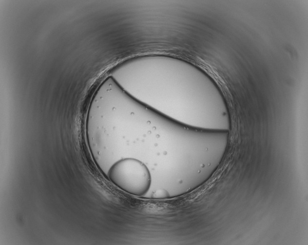 X0000113590346200909181052