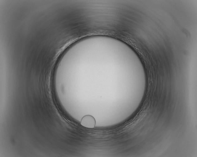 X0000113590348200909181052
