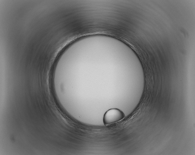 X0000113590350200909181052