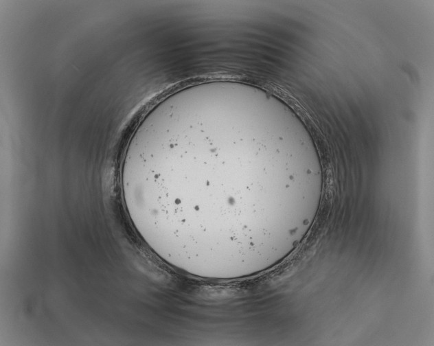 X0000113590351200909181052