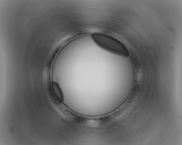 X0000113590352200909181052