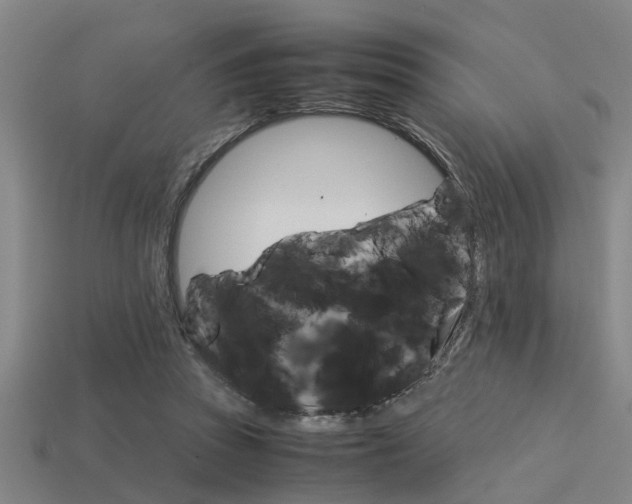 X0000113590353200909181052