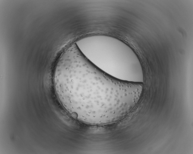X0000113590354200909181052