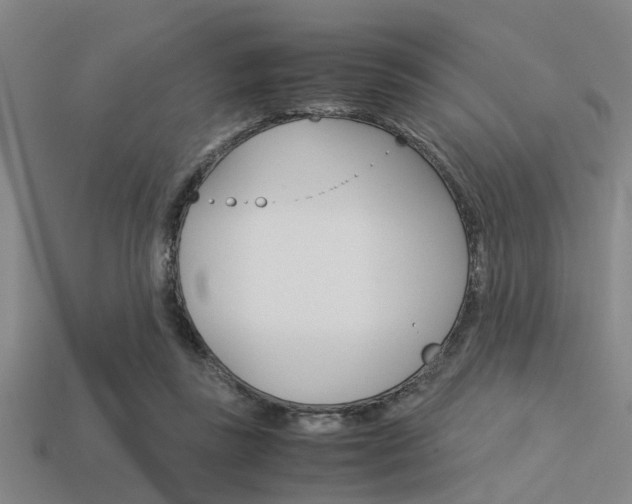X0000113590355200909181052