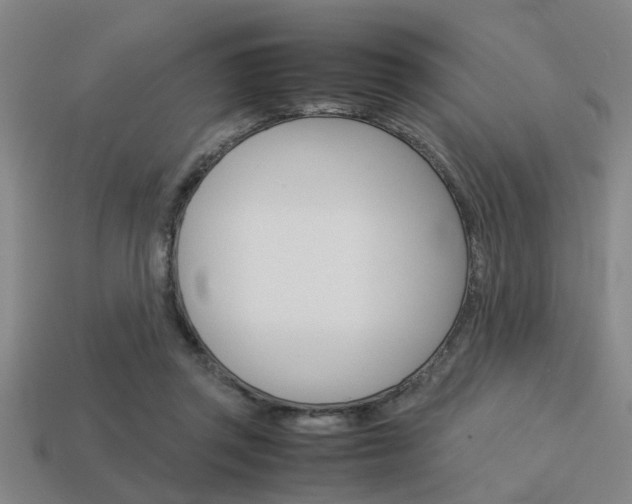 X0000113590357200909181052