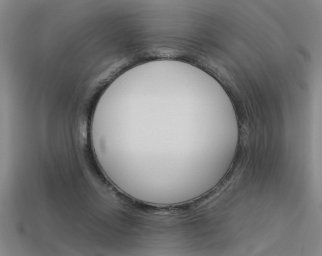 X0000113590358200909181052