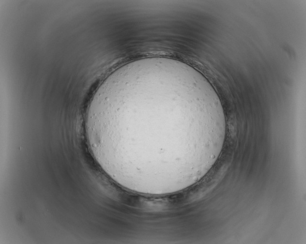 X0000113590359200909181053