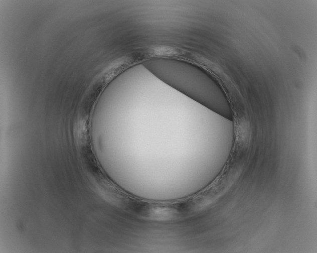 X0000113590360200909181053