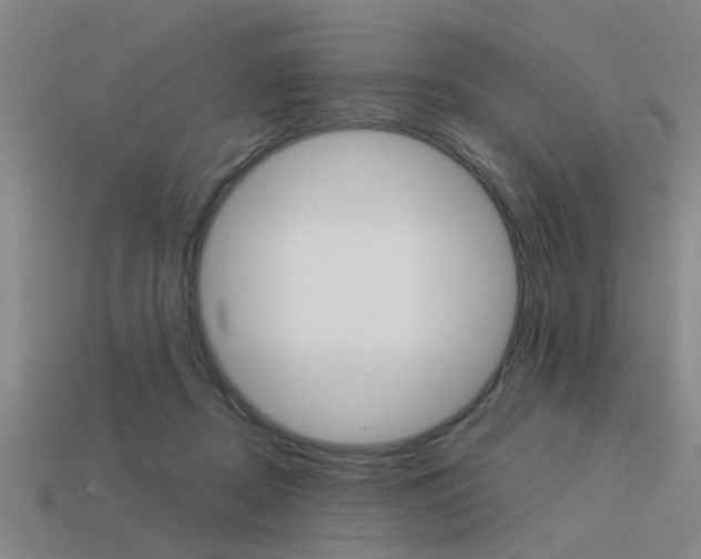 X0000113590362200909181053