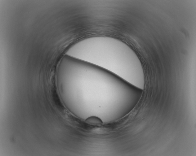 X0000113590364200909181053
