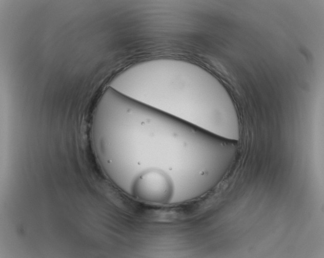 X0000113590366200909181053