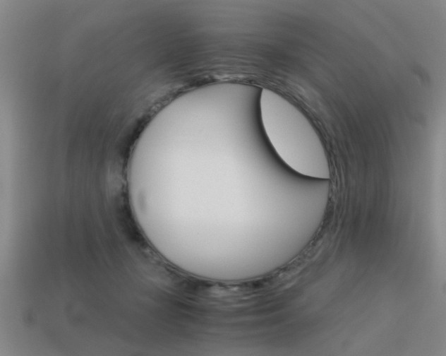X0000113590367200909181053