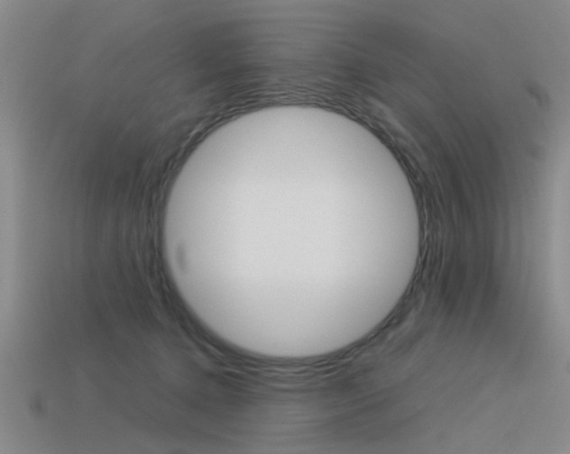 X0000113590368200909181053