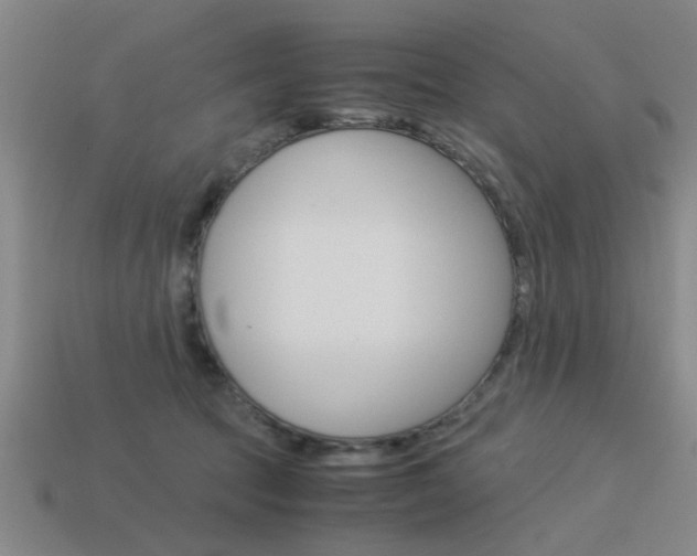 X0000113590369200909181053