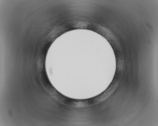 X0000113590370200909181053