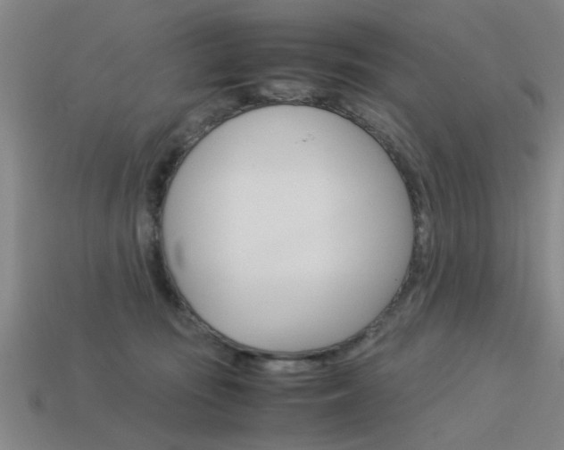 X0000113590371200909181053