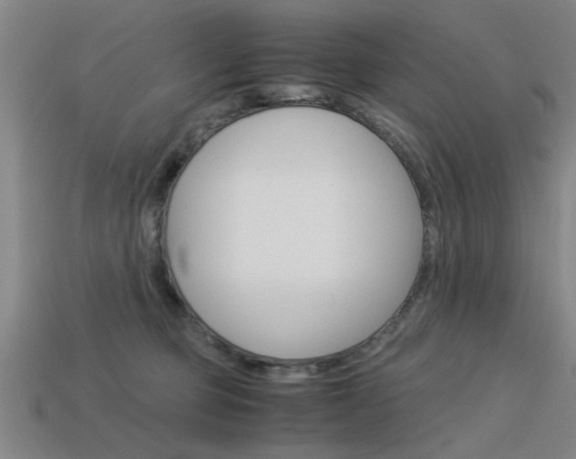X0000113590373200909181053