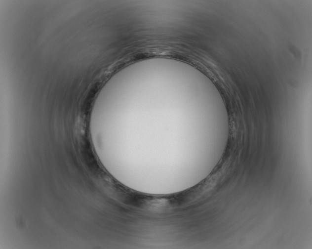 X0000113590374200909181053