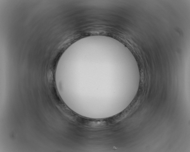 X0000113590375200909181053