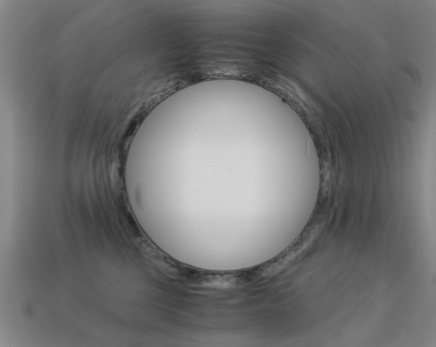 X0000113590377200909181053