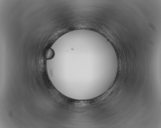 X0000113590378200909181053