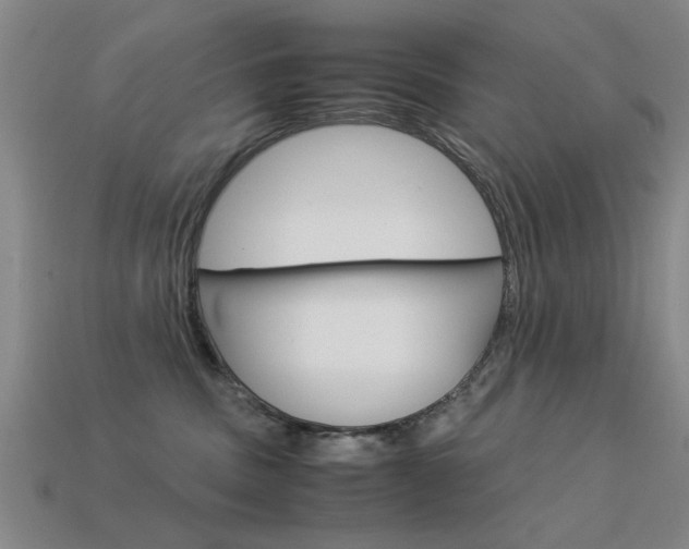 X0000113590379200909181053