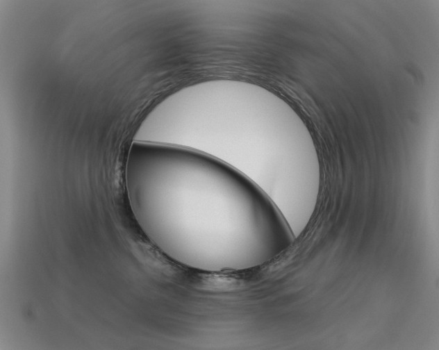 X0000113590380200909181053