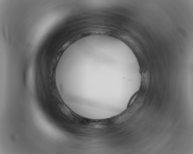 X0000113590381200909181053