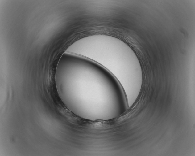 X0000113590382200909181053