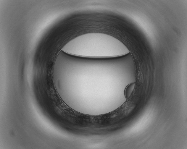 X0000113590383200909181053