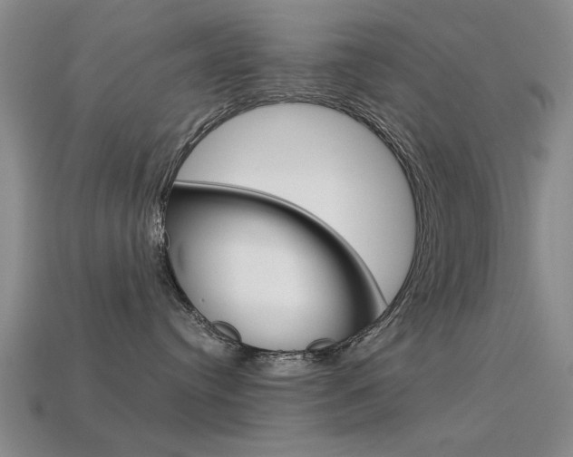 X0000113590384200909181053