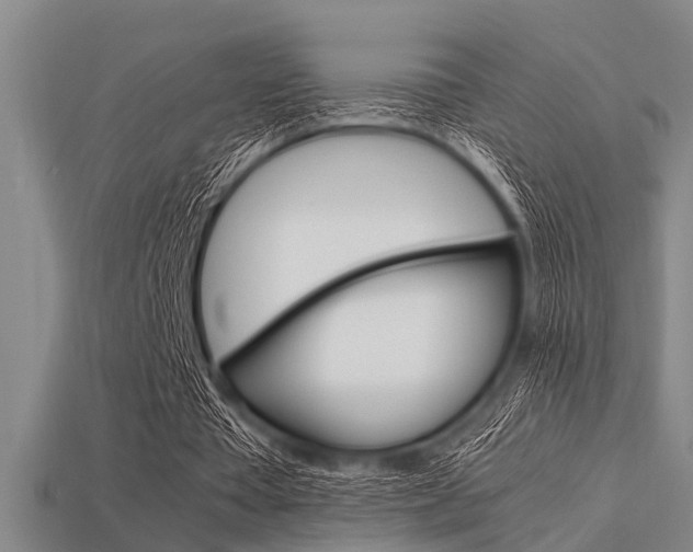 X0000113590385200909181052