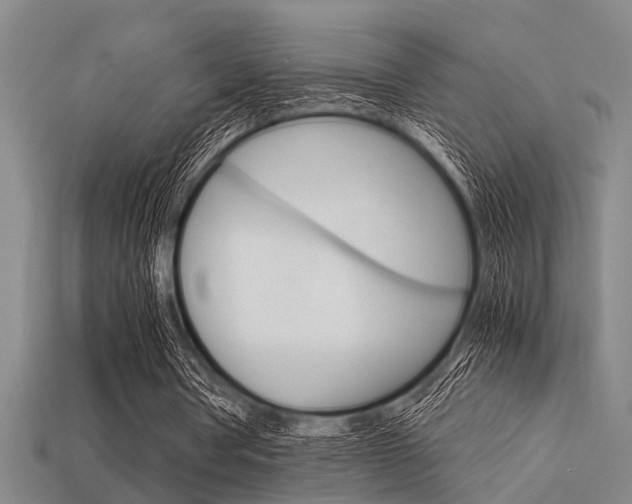 X0000113590386200909181052