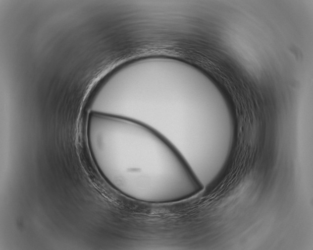 X0000113590388200909181052
