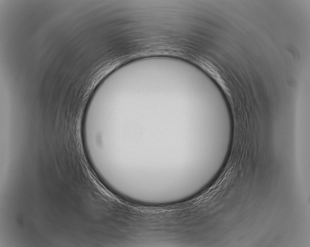 X0000113590389200909181052