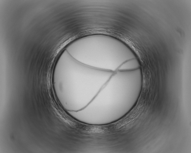 X0000113590390200909181052