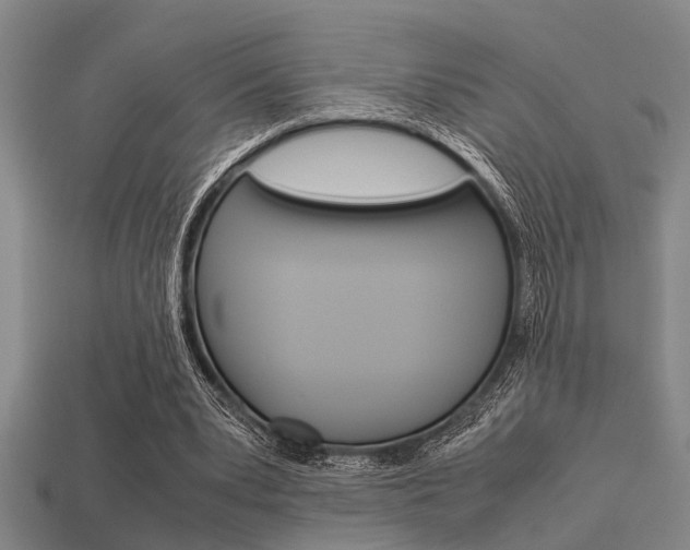 X0000113590391200909181052