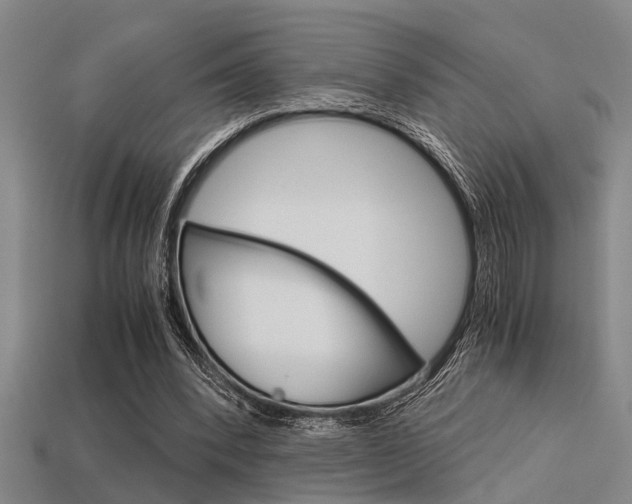 X0000113590392200909181052