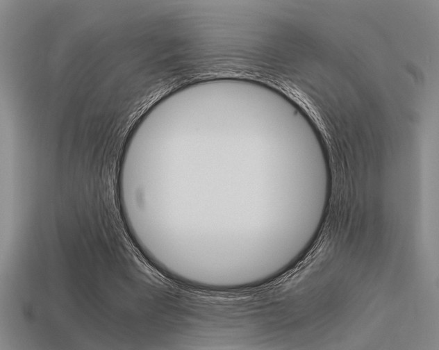 X0000113590393200909181052