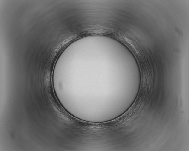 X0000113590394200909181052