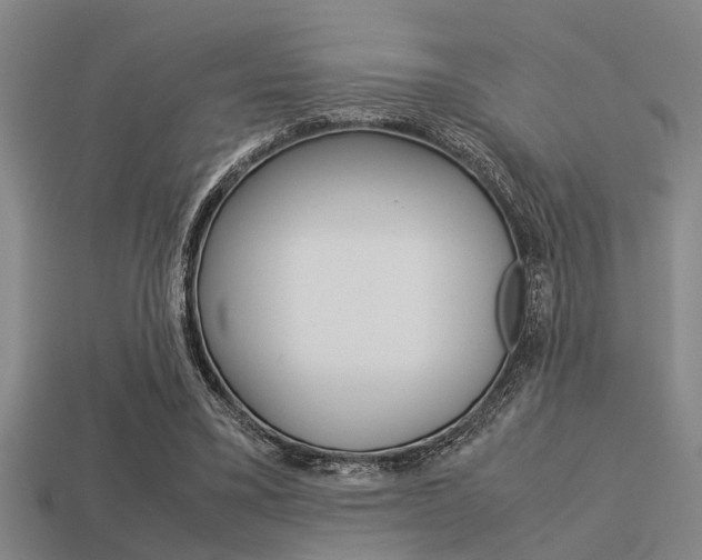 X0000113590395200909181052