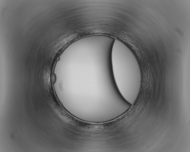 X0000113590398200909181052