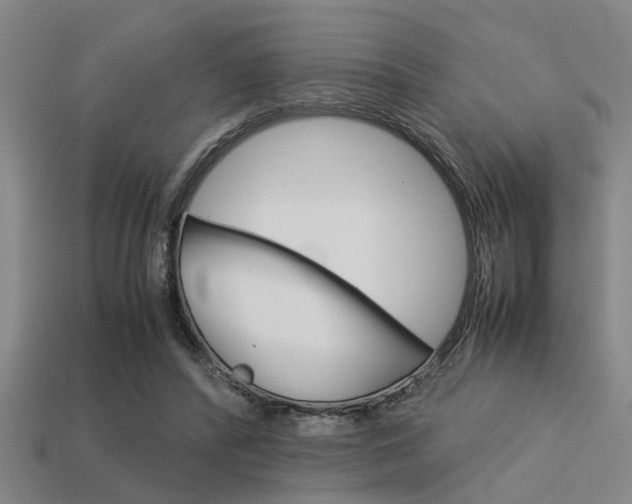 X0000113590400200909181052