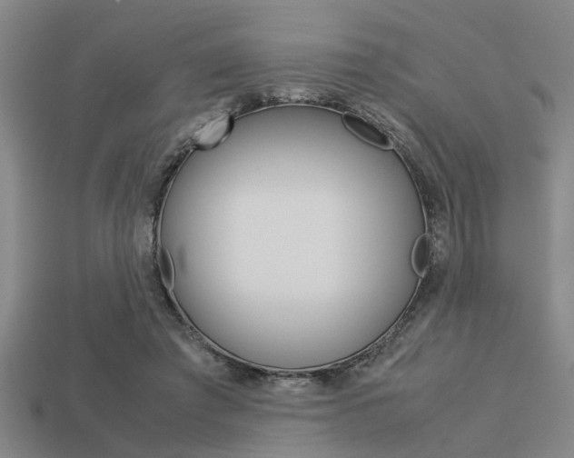 X0000113590401200909181052